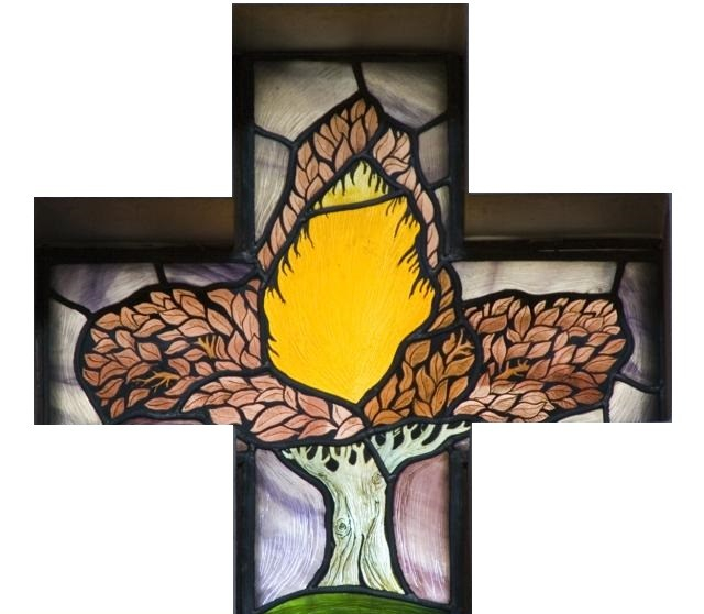 Burning Bush, Crampin, White Background